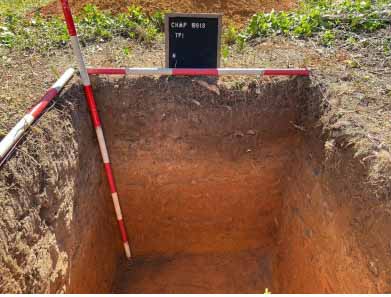 Environmental Site Assessments