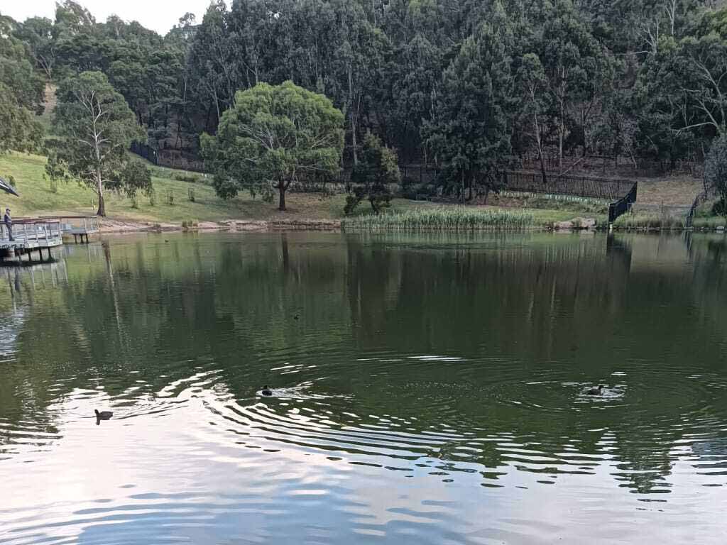 Surface Water Monitoring